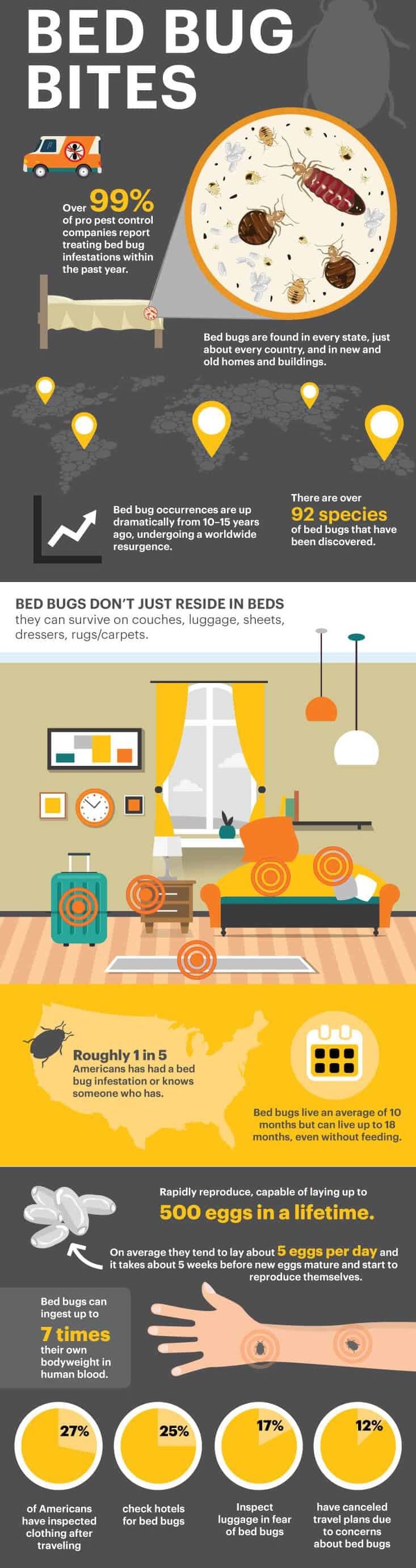 All about bed bug bites - Dr. Axe