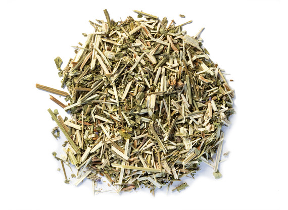 Organic Blue Vervain