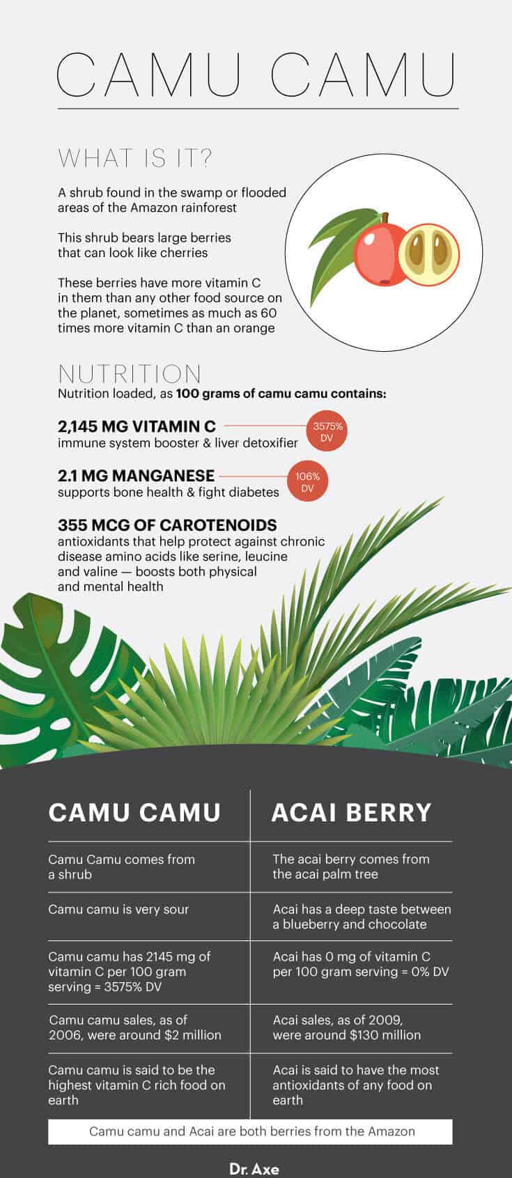 What is camu camu? - Dr. Axe