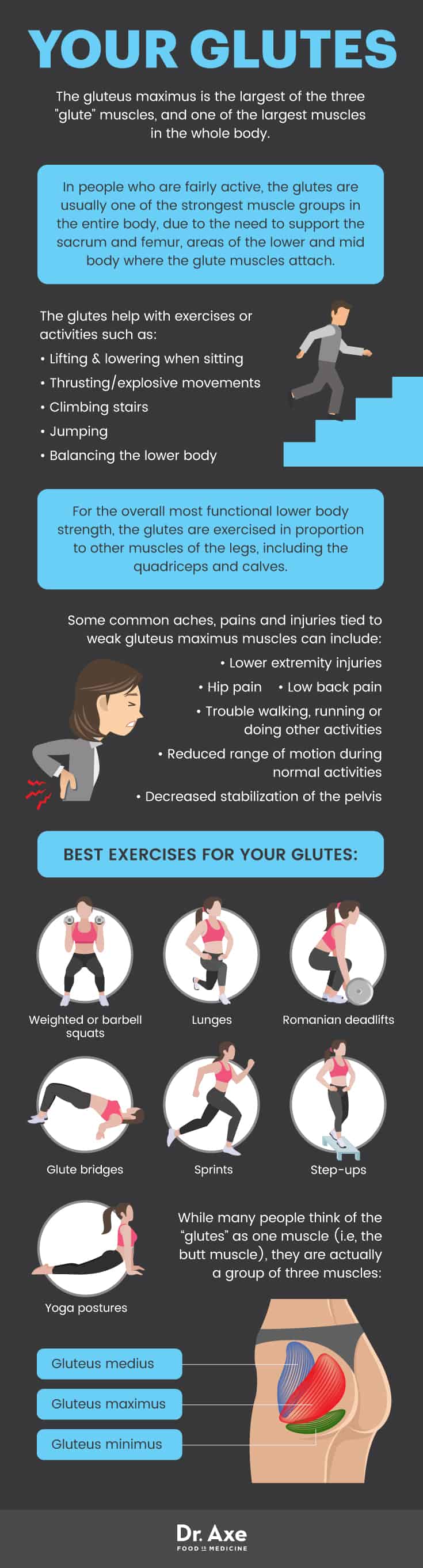 Glutes guide - Dr. Axe