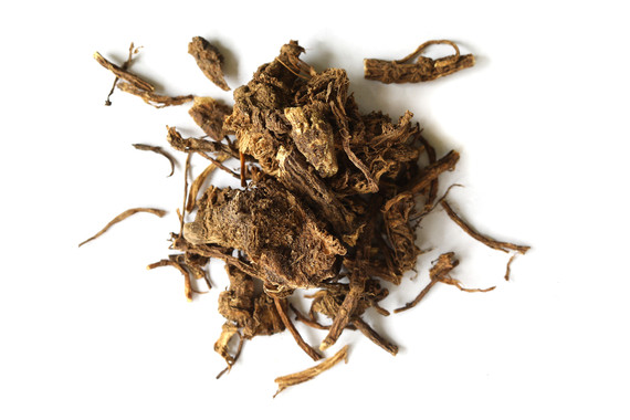 Osha Root