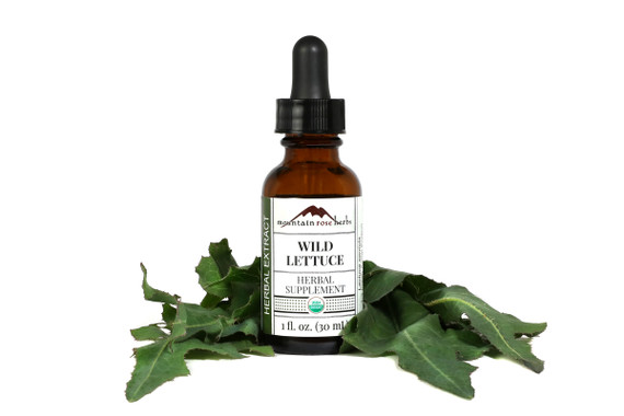 Wild Lettuce Extract Organic