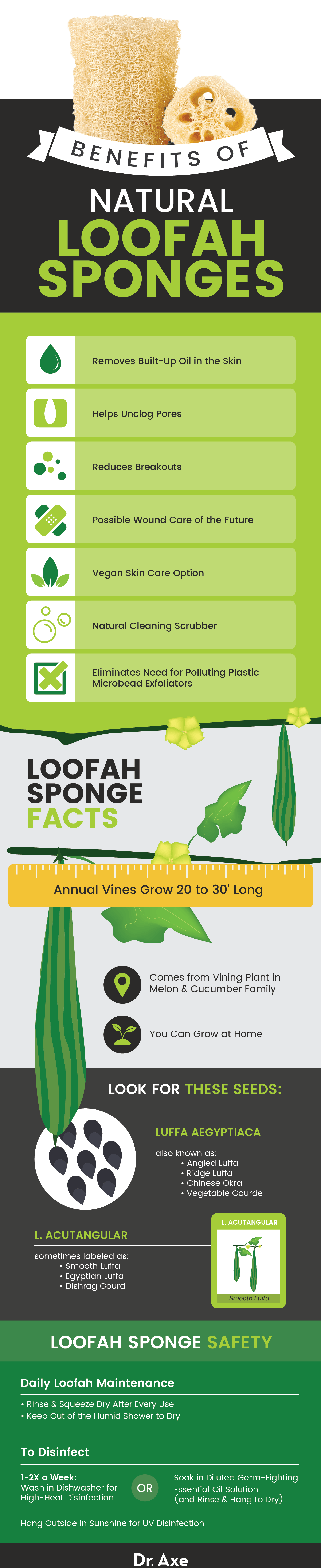 Loofah sponge - Dr. Axe